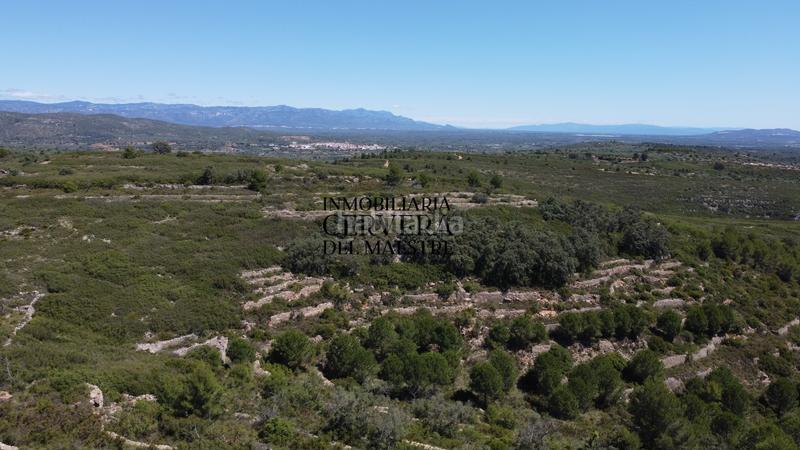 Foto 744ddb2c-f6ad-4274-849d-0959d0b70eb9. Finca rústica a Cervera del Maestre