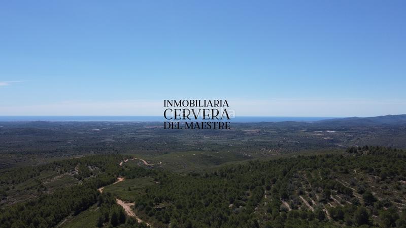 Foto 81da4a70-d000-4c88-a53a-53d88b12a588. Finca rústica a Cervera del Maestre