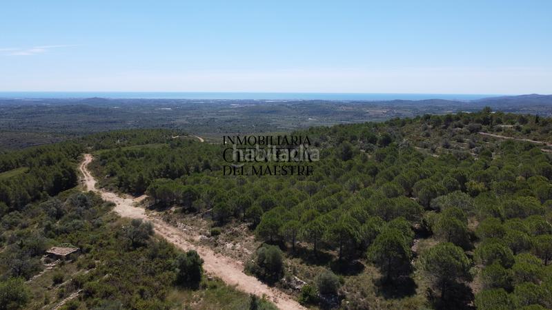 Foto 82fd6817-3c2b-4d9a-be60-1d53509aa00a. Finca rústica a Cervera del Maestre