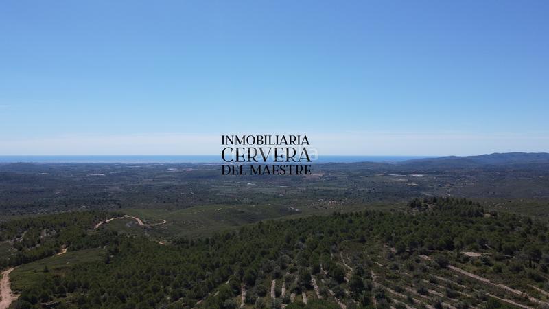 Foto b1f3e48d-9a76-4158-bf92-d6adc7dd60da. Finca rústica a Cervera del Maestre