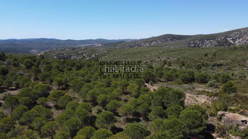 Foto b5412d32-6497-4ccf-b0c5-eb8e223cee9a. Finca rústica a Cervera del Maestre