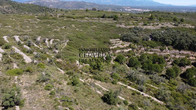 Foto b65feb2e-2690-4150-8e16-685cd19e1bad. Finca rústica a Cervera del Maestre