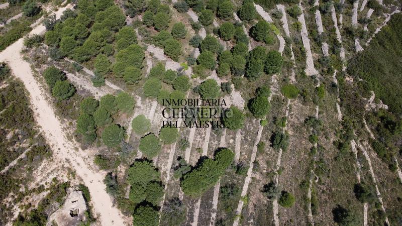 Foto c035bc7e-ce58-4c99-b5dc-4f0fb82ccbdd. Finca rústica a Cervera del Maestre