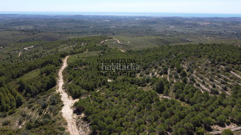 Foto ced60807-0fc7-4f51-b2be-52287837995b. Finca rústica a Cervera del Maestre