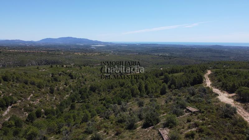 Foto d03b3434-d531-43ee-b5fa-b1b1c1564d9f. Finca rústica a Cervera del Maestre