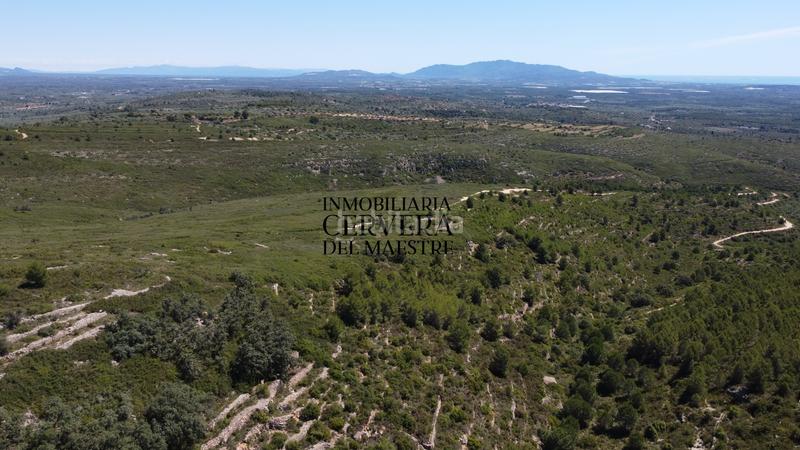Foto d4475c66-84aa-40df-b274-e11ca03cfdee. Finca rústica a Cervera del Maestre