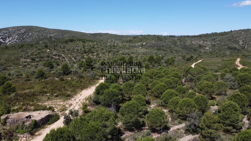 Foto d95ea3a7-6547-4211-b0dd-989bf06410b8. Finca rústica a Cervera del Maestre