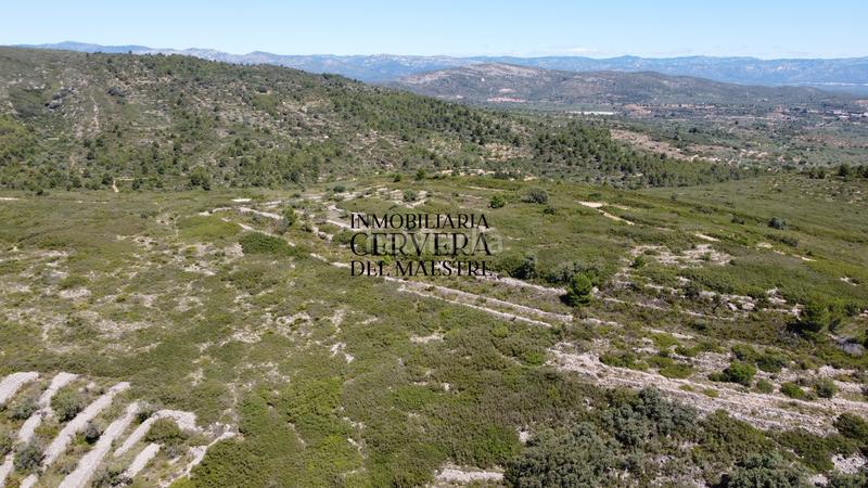 Foto e573ca96-5b1f-45d1-afd9-061ce2f84659. Finca rústica a Cervera del Maestre