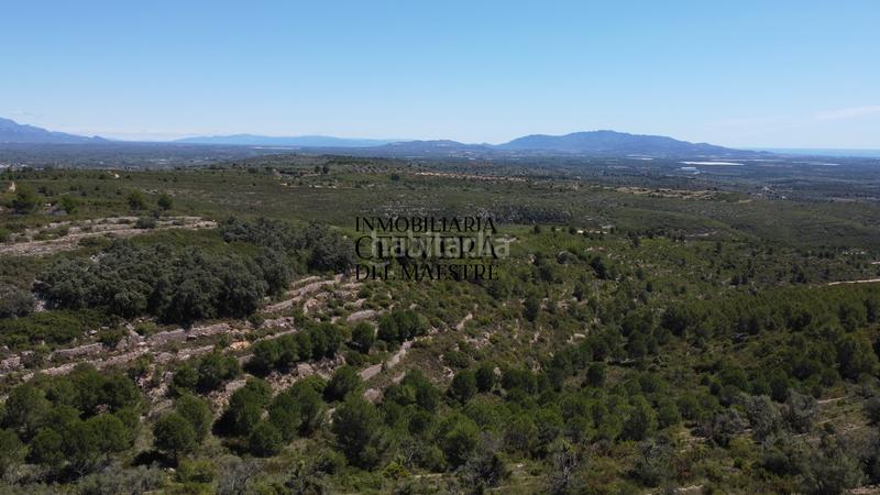 Foto e763d905-7a32-41f6-8e18-3af3b8c85d0d. Finca rústica a Cervera del Maestre