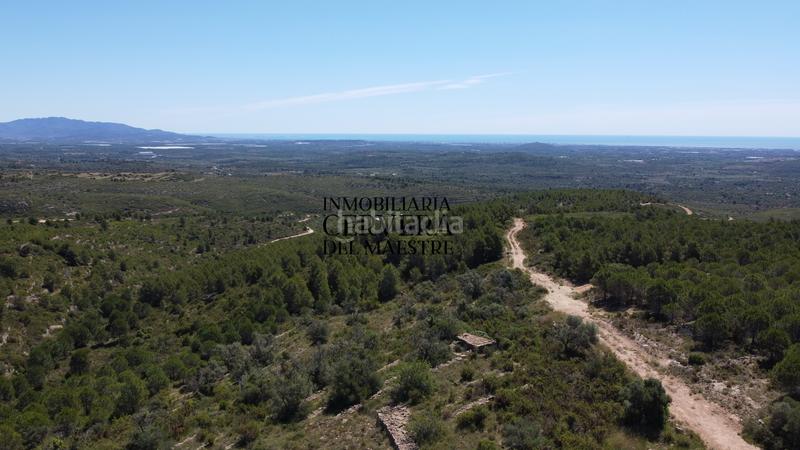 Foto e8f03c13-8eda-49d0-b226-3981df92046f. Finca rústica a Cervera del Maestre