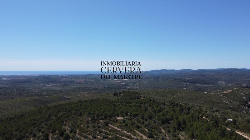 Foto ed1c5b42-d5ff-40c4-9fb3-2ed84b5f531b. Finca rústica a Cervera del Maestre