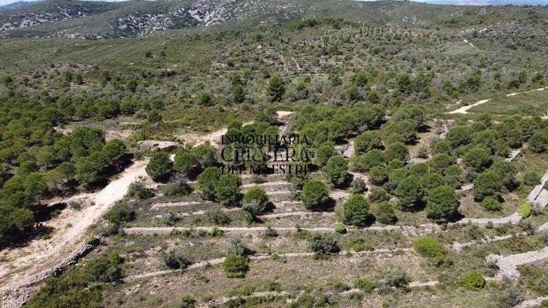 Foto f0f48483-71ee-49ee-9dc7-9804c386238c. Finca rústica a Cervera del Maestre