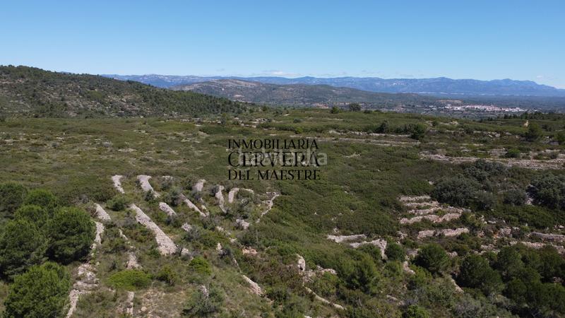 Foto fa50cccb-4a4b-4530-85e3-d3900de0b8c2. Finca rústica a Cervera del Maestre
