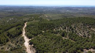 Finca rústica a Cervera del Maestre