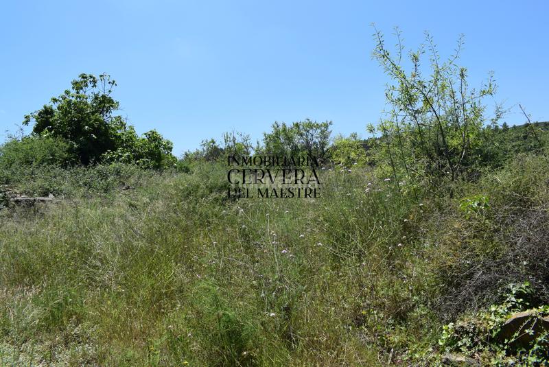 Foto 03dff81e-0c2a-4322-9863-f2885793b5c1. Mas dans Xert