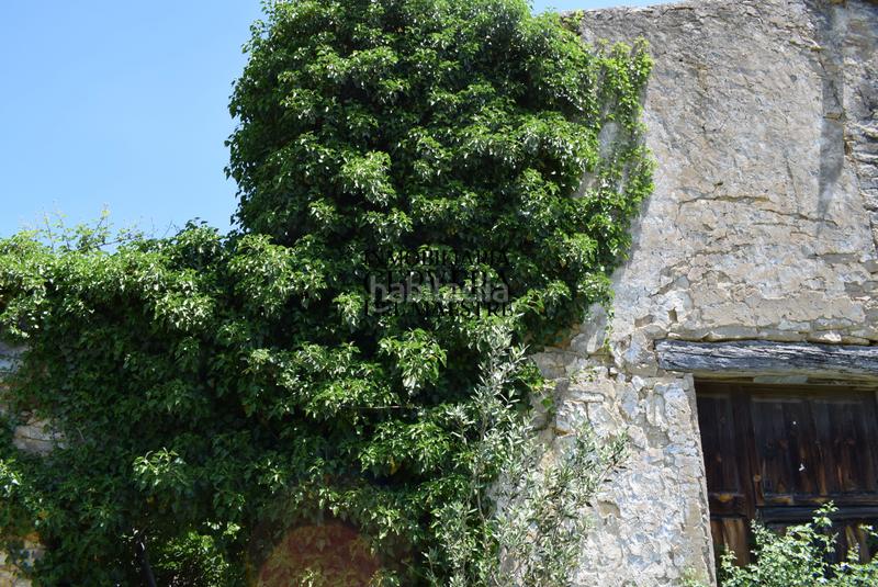 Foto 525ab20c-a6ba-4b4e-843c-1710921859ae. Mas dans Xert