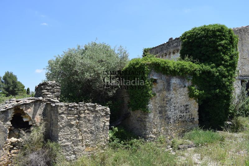 Foto 82cc6e4f-a07c-4a5b-8896-12608ed29718. Mas dans Xert