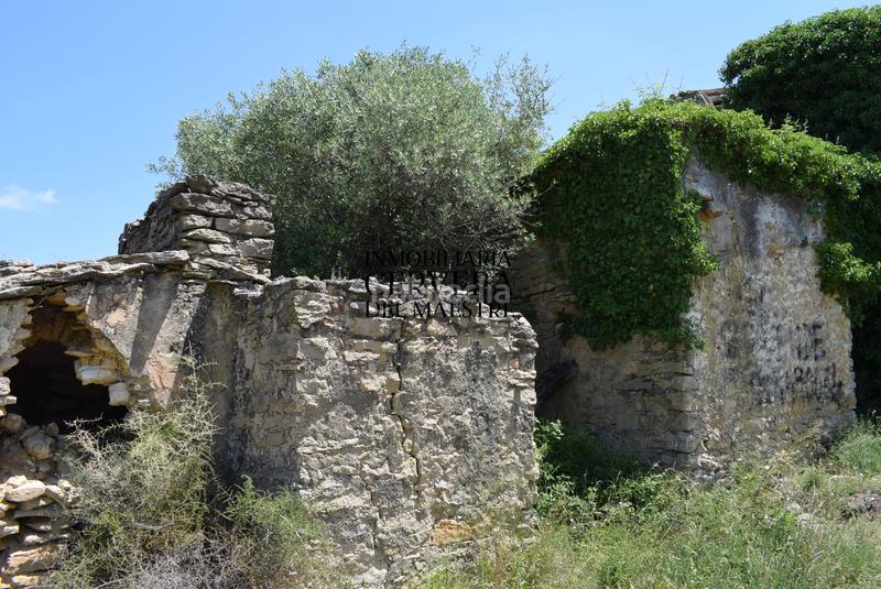 Foto b2bcb136-b0ae-4549-8392-f6ebee0d6487. Mas dans Xert