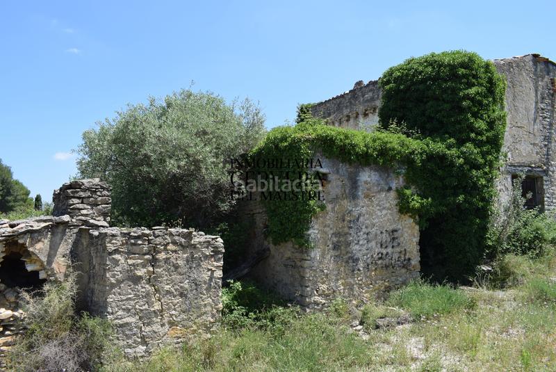 Foto cb2dec0c-514f-488a-a7dd-b5af0b8ee196. Mas dans Xert