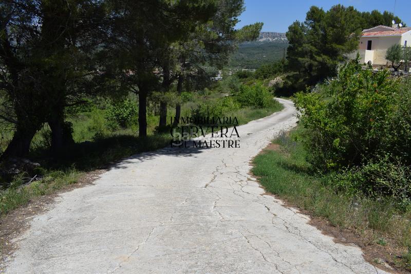 Foto d7013906-b55d-4443-9c53-3b367a819c2b. Mas dans Xert