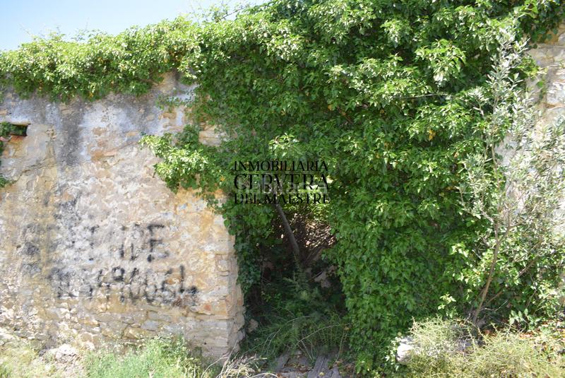 Foto e39c7391-89d4-4e99-a1a2-53e352da5400. Mas dans Xert