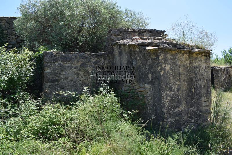 Foto eda97b21-9cd9-4264-8200-6611ff73df88. Mas dans Xert