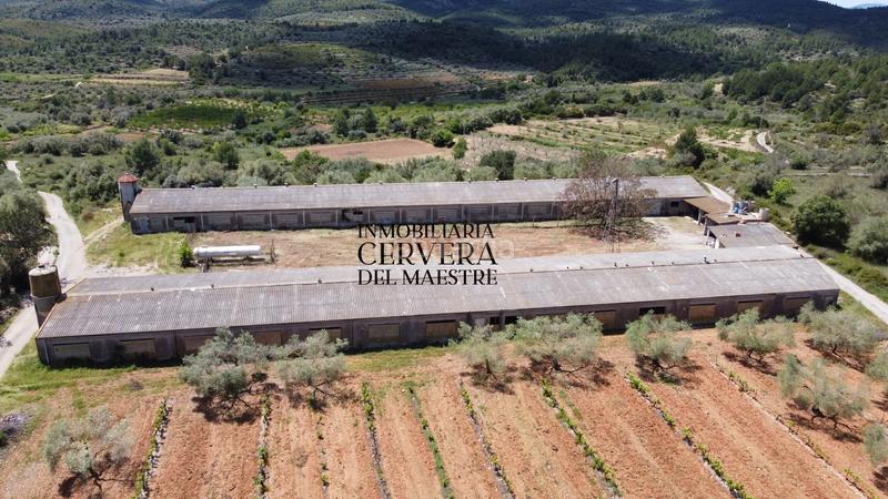 Foto 06343ad9-89f5-4503-a688-aed27186a9c5. Propriété dans Cervera del Maestre