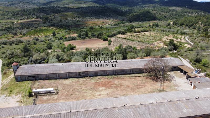 Foto 387fc944-4bab-4fba-b8c2-e71c7dfdb9c3. Propriété dans Cervera del Maestre