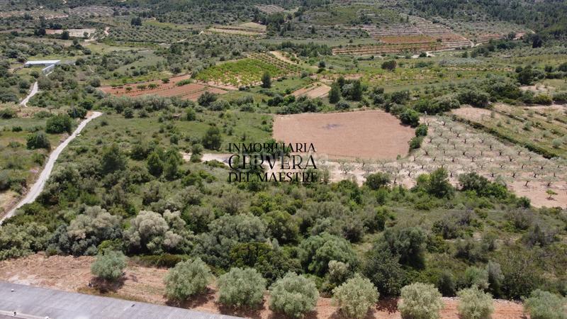 Foto 46f7c1ff-c6b7-4f54-9ce5-8b19fd333f9c. Propriété dans Cervera del Maestre