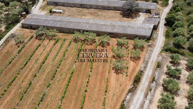 Foto 50f938b2-8d3d-4215-b098-9f64f977ad14. Propriété dans Cervera del Maestre