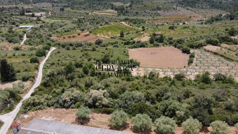 Foto 52633202-9049-4f6f-a627-0972c24798ef. Propriété dans Cervera del Maestre