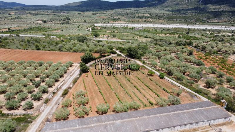 Foto 550039ea-3b71-49f7-ab3e-e94503cb8769. Propriété dans Cervera del Maestre