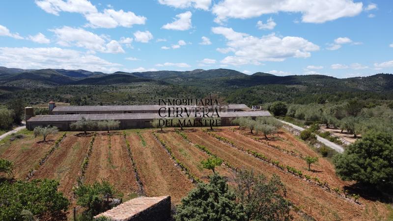 Foto 5a382e70-fcfc-4952-aab6-feeb8448ac90. Propriété dans Cervera del Maestre