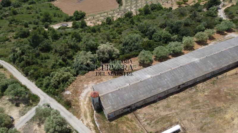 Foto 69608a5f-0ce2-4c66-b1cf-005c14d188b1. Propriété dans Cervera del Maestre