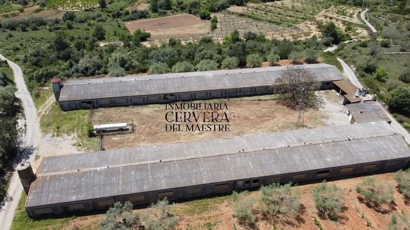 Foto 709fbae7-4089-48b1-9c90-f0eedf082f5b. Propriété dans Cervera del Maestre