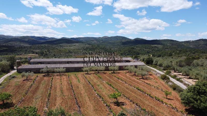 Foto 74a229c3-08bc-403e-a146-d08bcb04e491. Propriété dans Cervera del Maestre