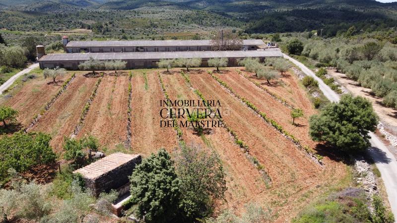 Foto 7b0fd1c4-7903-4891-babe-23e956214089. Propriété dans Cervera del Maestre