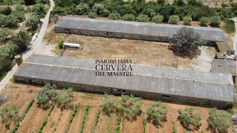 Foto 8666d1b8-1bd2-4985-875a-3f9965b292b5. Propriété dans Cervera del Maestre