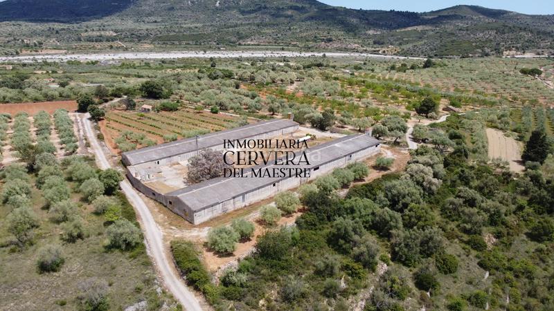 Foto 8aae5bbd-c2d0-4d1a-8070-bc7663f2dfa8. Propriété dans Cervera del Maestre