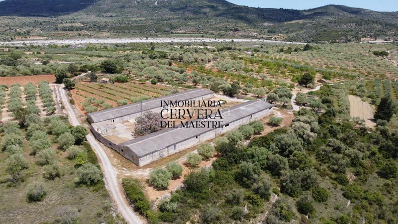 Foto 903bb0fc-1e0a-48e2-9be6-4dba62ef5d82. Propriété dans Cervera del Maestre