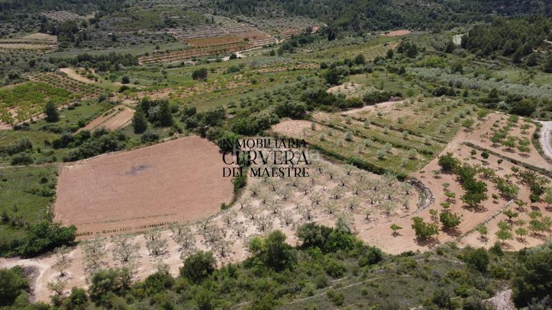 Foto 909fe2a7-2c92-4c56-a1eb-dfdf62657267. Propriété dans Cervera del Maestre