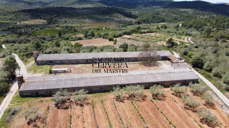 Foto 92312579-8efd-48ce-afe2-654356b75247. Propriété dans Cervera del Maestre