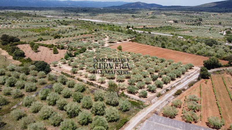 Foto b0d4392d-dbbb-470f-a3b0-68e0611bbb12. Propriété dans Cervera del Maestre