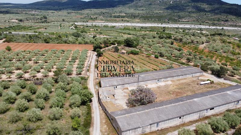 Foto c97a9e69-208e-4ab8-a2f9-5ff01bf197de. Propriété dans Cervera del Maestre