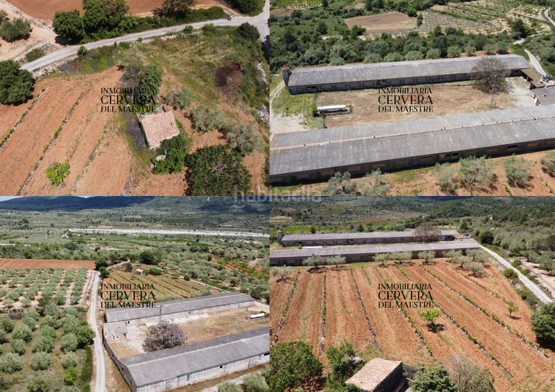 Foto cba4850c-e356-44e2-8de5-bcdf44c0d565. Propriété dans Cervera del Maestre