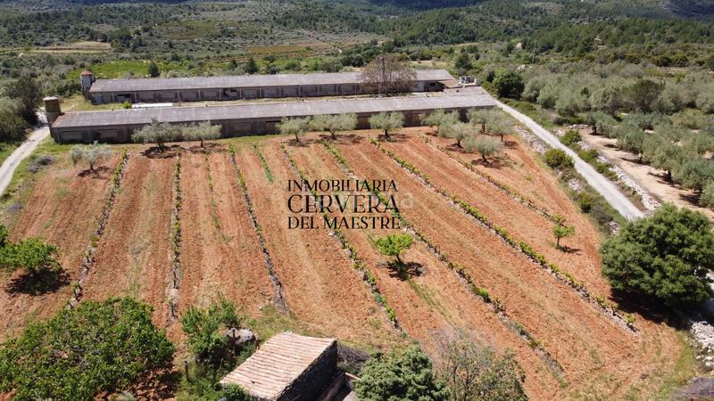 Foto d8792af5-db64-49ab-be19-fc32432ab309. Propriété dans Cervera del Maestre