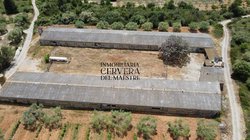 Foto e61e8d6f-fa30-4e81-a95d-10ad5f4b5a79. Propriété dans Cervera del Maestre