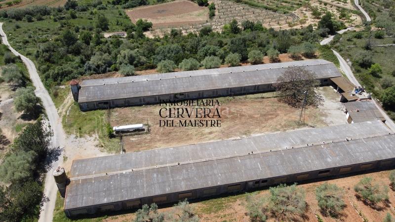 Foto ee450f8f-7073-40b5-a8e9-e4fa706d3ae4. Propriété dans Cervera del Maestre