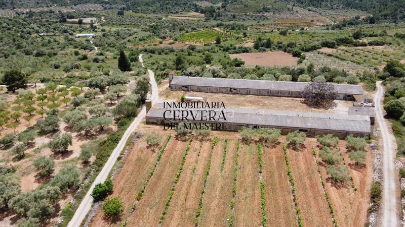 Foto f0ff62f3-8867-46f8-8e83-d787d4ee2298. Propriété dans Cervera del Maestre