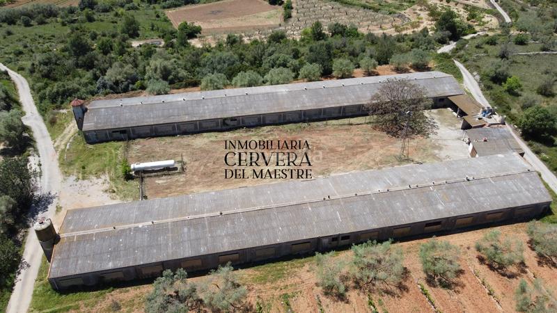 Foto fb00ee2b-a6fb-414d-bd0a-abbdd51fd9c4. Propriété dans Cervera del Maestre